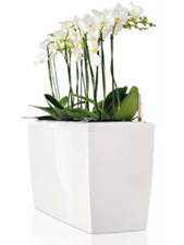 Кашпо Lechuza Cararo silver metallic 75x30x43