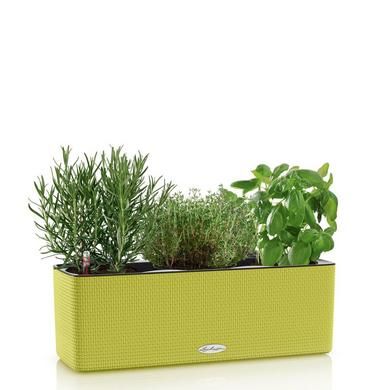 Lechuza Balconissima Color Зеленый Лайм