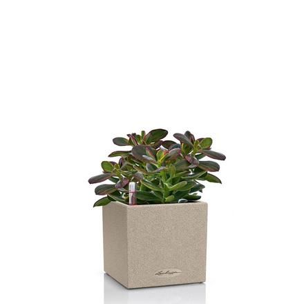 Lechuza Canto Stone 14 Светло-Бежевый 14x14x14