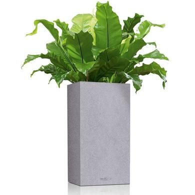Lechuza Canto Stone High Графитовый Чёрный 30x30x30