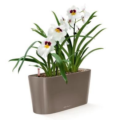 Кашпо Lechuza Delta 20 white highgloss 40x15x18