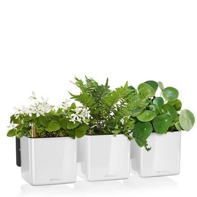 Lechuza Green Wall Home Kit Серый глянцевый