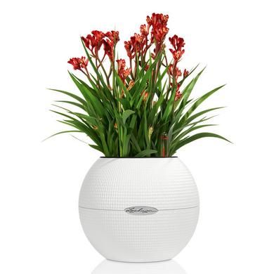 Кашпо Lechuza Classico Color White 20x16