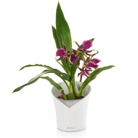 Кашпо Lechuza Orchidea Серый 18x20