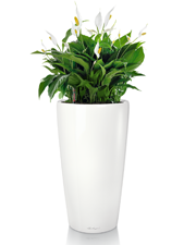 Кашпо Lechuza Rondo white highgloss 40x75