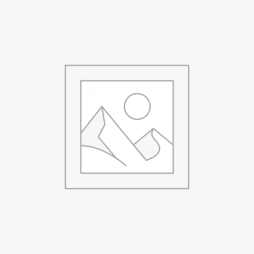Uncategorised